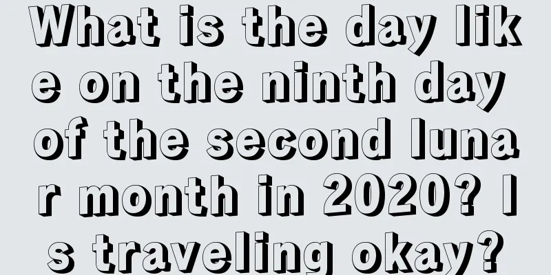 What is the day like on the ninth day of the second lunar month in 2020? Is traveling okay?