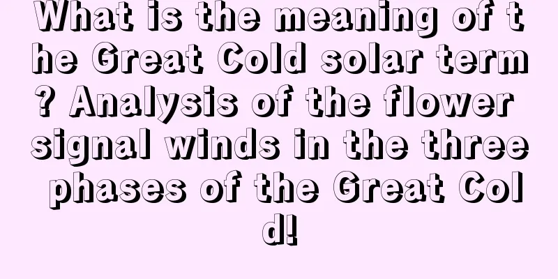What is the meaning of the Great Cold solar term? Analysis of the flower signal winds in the three phases of the Great Cold!