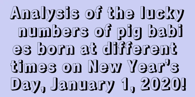 Analysis of the lucky numbers of pig babies born at different times on New Year’s Day, January 1, 2020!