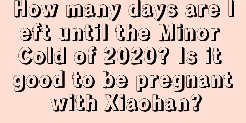 How many days are left until the Minor Cold of 2020? Is it good to be pregnant with Xiaohan?