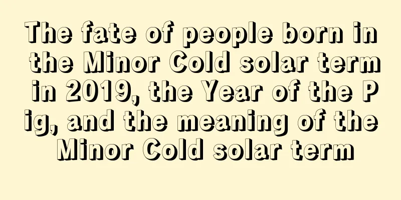 The fate of people born in the Minor Cold solar term in 2019, the Year of the Pig, and the meaning of the Minor Cold solar term