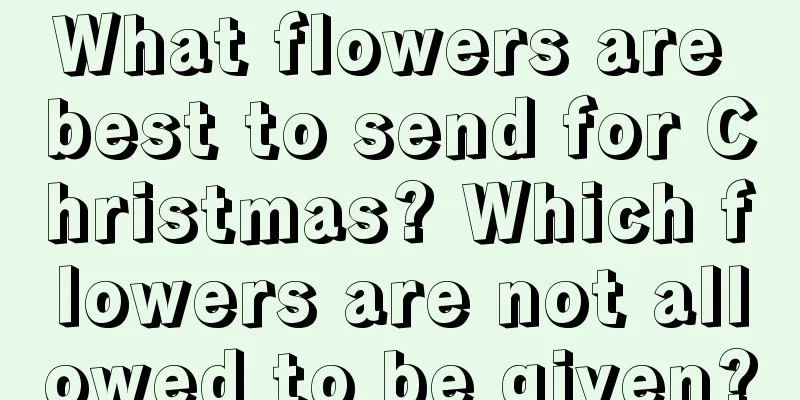 What flowers are best to send for Christmas? Which flowers are not allowed to be given?