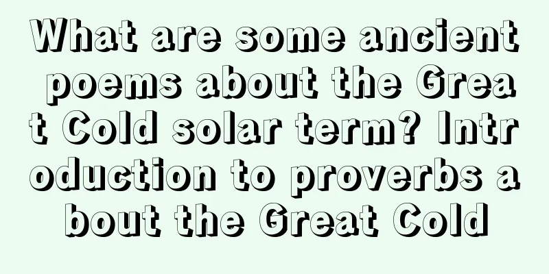 What are some ancient poems about the Great Cold solar term? Introduction to proverbs about the Great Cold