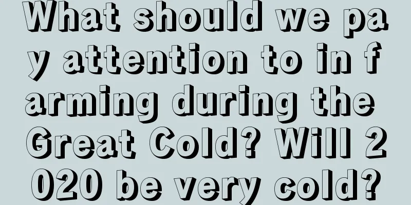 What should we pay attention to in farming during the Great Cold? Will 2020 be very cold?