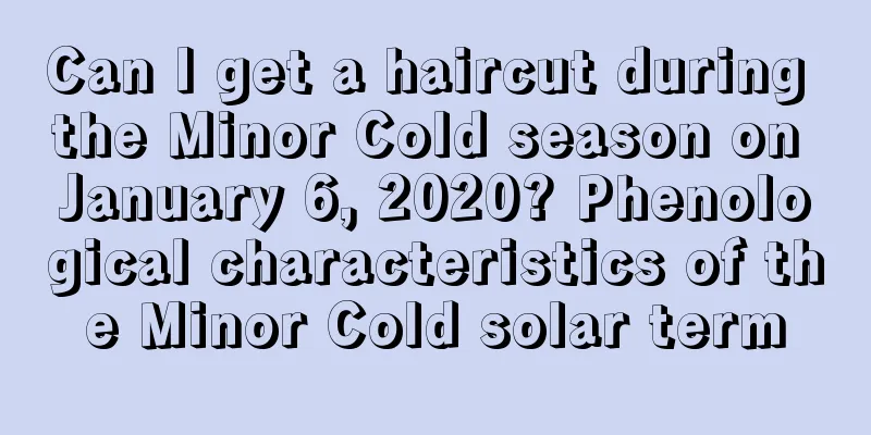 Can I get a haircut during the Minor Cold season on January 6, 2020? Phenological characteristics of the Minor Cold solar term