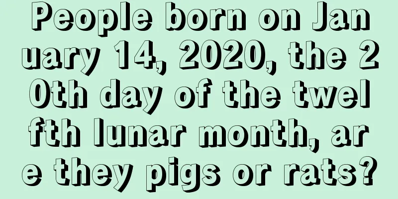 People born on January 14, 2020, the 20th day of the twelfth lunar month, are they pigs or rats?