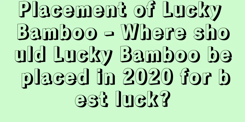 Placement of Lucky Bamboo - Where should Lucky Bamboo be placed in 2020 for best luck?