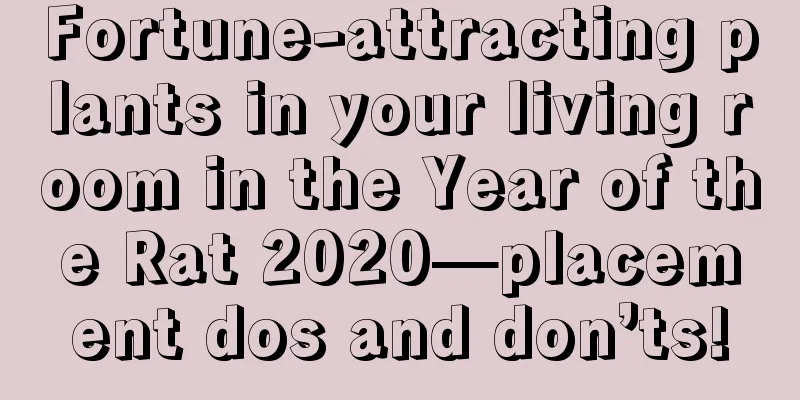 Fortune-attracting plants in your living room in the Year of the Rat 2020—placement dos and don’ts!