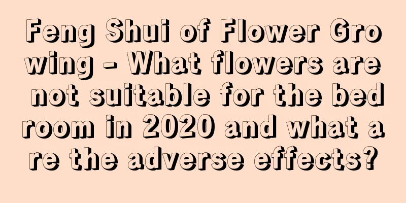 Feng Shui of Flower Growing - What flowers are not suitable for the bedroom in 2020 and what are the adverse effects?