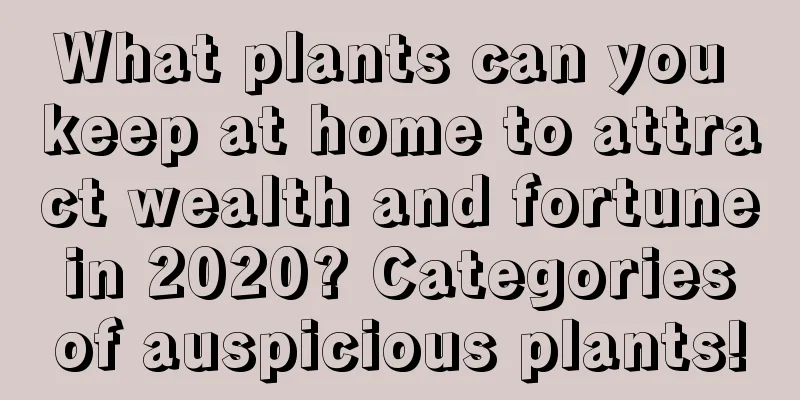What plants can you keep at home to attract wealth and fortune in 2020? Categories of auspicious plants!