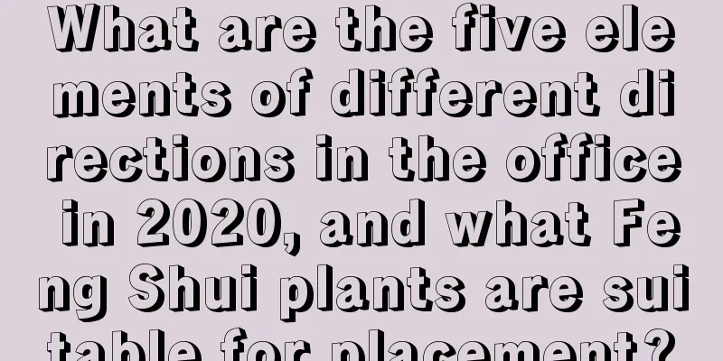 What are the five elements of different directions in the office in 2020, and what Feng Shui plants are suitable for placement?