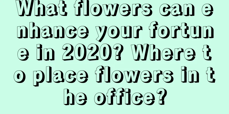 What flowers can enhance your fortune in 2020? Where to place flowers in the office?