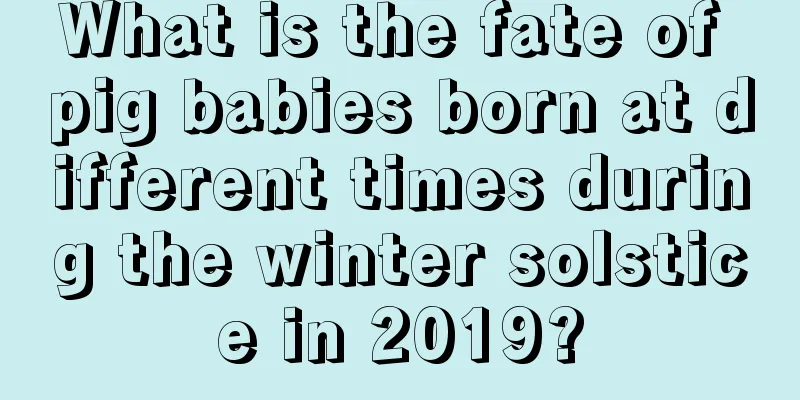 What is the fate of pig babies born at different times during the winter solstice in 2019?
