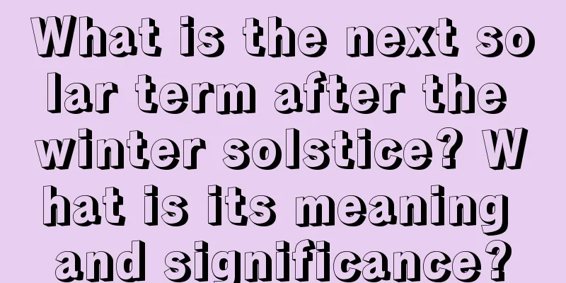 What is the next solar term after the winter solstice? What is its meaning and significance?