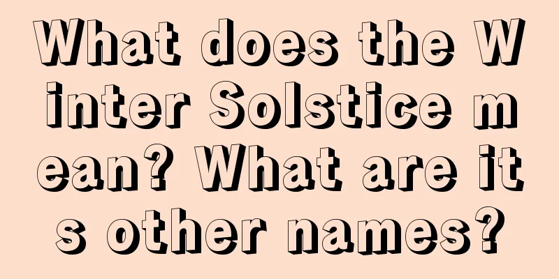 What does the Winter Solstice mean? What are its other names?