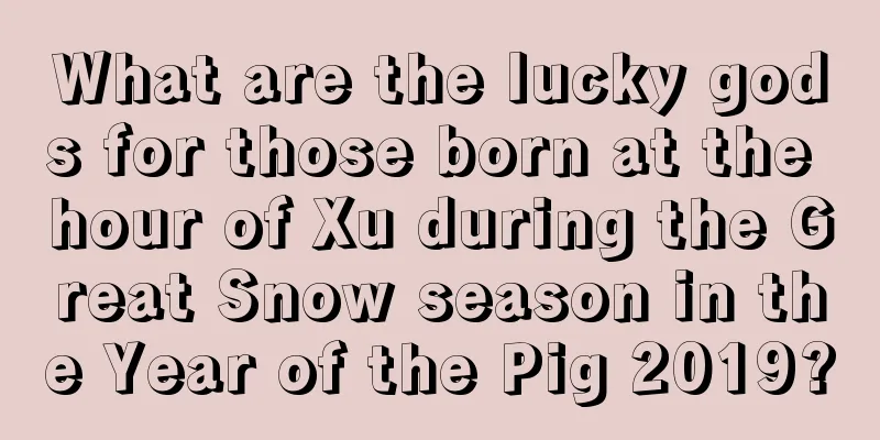 What are the lucky gods for those born at the hour of Xu during the Great Snow season in the Year of the Pig 2019?