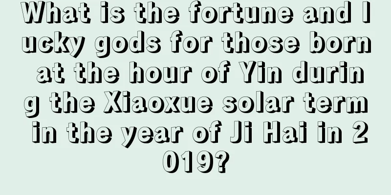 What is the fortune and lucky gods for those born at the hour of Yin during the Xiaoxue solar term in the year of Ji Hai in 2019?