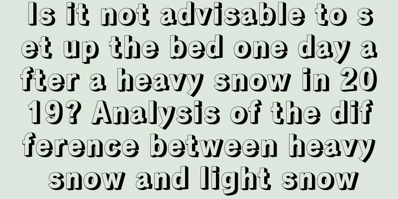 Is it not advisable to set up the bed one day after a heavy snow in 2019? Analysis of the difference between heavy snow and light snow