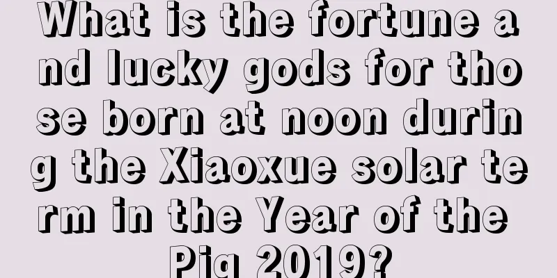 What is the fortune and lucky gods for those born at noon during the Xiaoxue solar term in the Year of the Pig 2019?