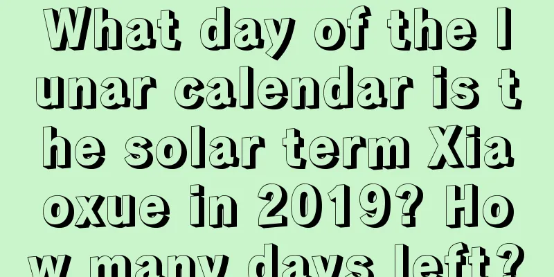 What day of the lunar calendar is the solar term Xiaoxue in 2019? How many days left?