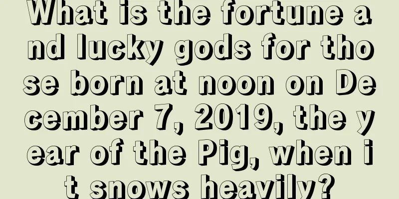 What is the fortune and lucky gods for those born at noon on December 7, 2019, the year of the Pig, when it snows heavily?