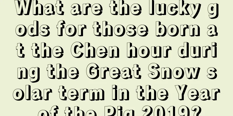 What are the lucky gods for those born at the Chen hour during the Great Snow solar term in the Year of the Pig 2019?