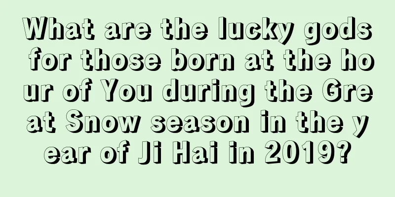 What are the lucky gods for those born at the hour of You during the Great Snow season in the year of Ji Hai in 2019?