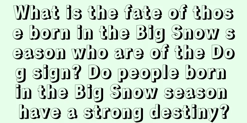 What is the fate of those born in the Big Snow season who are of the Dog sign? Do people born in the Big Snow season have a strong destiny?
