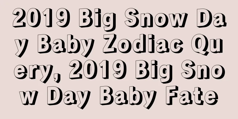 2019 Big Snow Day Baby Zodiac Query, 2019 Big Snow Day Baby Fate