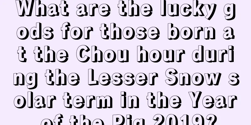 What are the lucky gods for those born at the Chou hour during the Lesser Snow solar term in the Year of the Pig 2019?