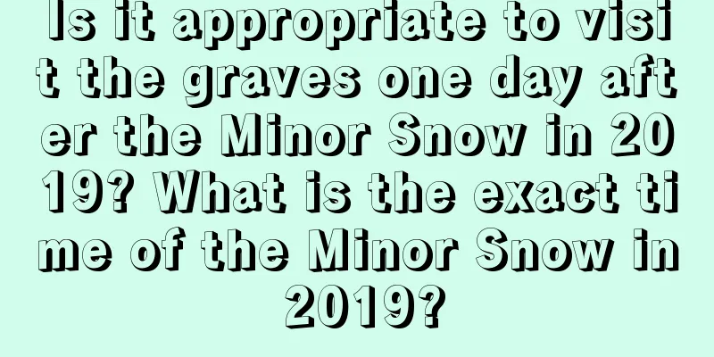 Is it appropriate to visit the graves one day after the Minor Snow in 2019? What is the exact time of the Minor Snow in 2019?