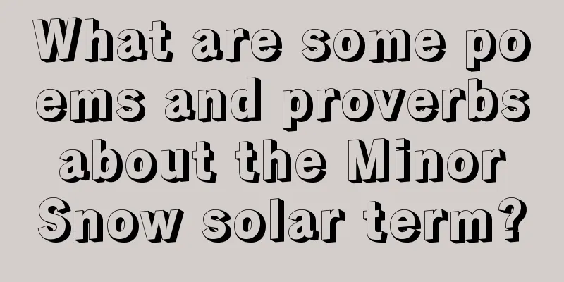 What are some poems and proverbs about the Minor Snow solar term?