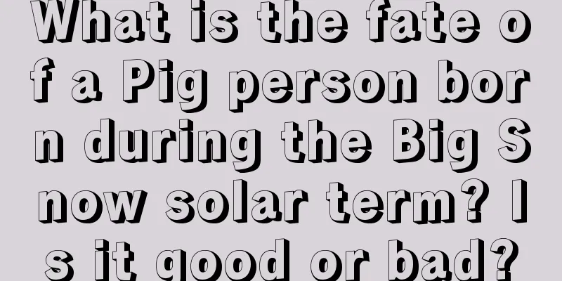 What is the fate of a Pig person born during the Big Snow solar term? Is it good or bad?