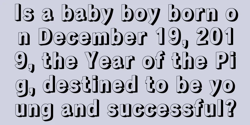 Is a baby boy born on December 19, 2019, the Year of the Pig, destined to be young and successful?