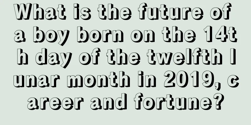 What is the future of a boy born on the 14th day of the twelfth lunar month in 2019, career and fortune?