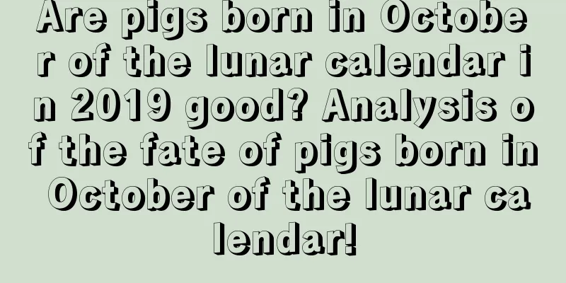 Are pigs born in October of the lunar calendar in 2019 good? Analysis of the fate of pigs born in October of the lunar calendar!