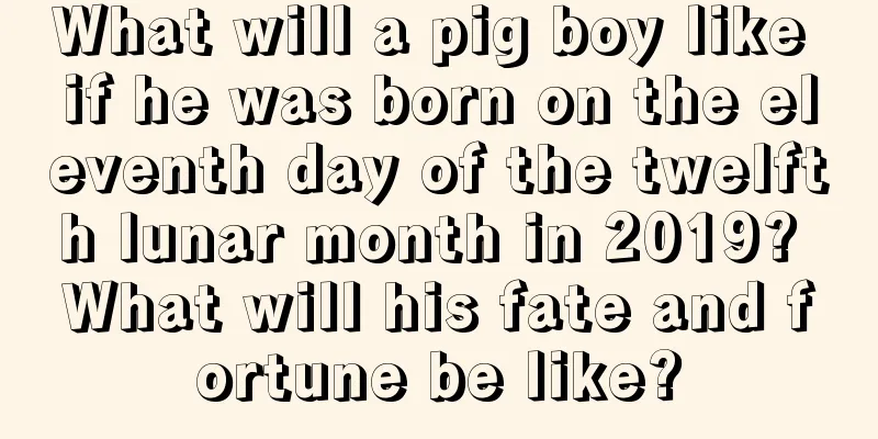 What will a pig boy like if he was born on the eleventh day of the twelfth lunar month in 2019? What will his fate and fortune be like?