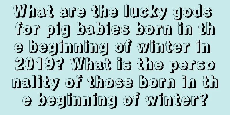 What are the lucky gods for pig babies born in the beginning of winter in 2019? What is the personality of those born in the beginning of winter?