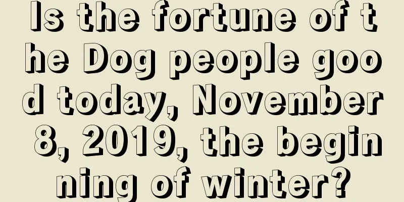 Is the fortune of the Dog people good today, November 8, 2019, the beginning of winter?