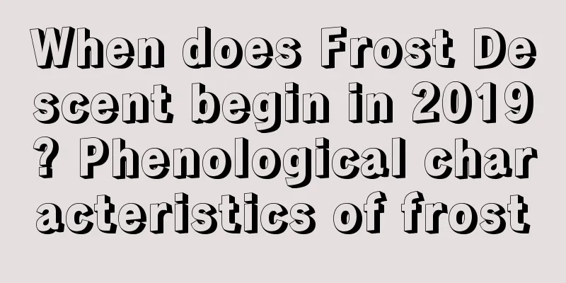 When does Frost Descent begin in 2019? Phenological characteristics of frost