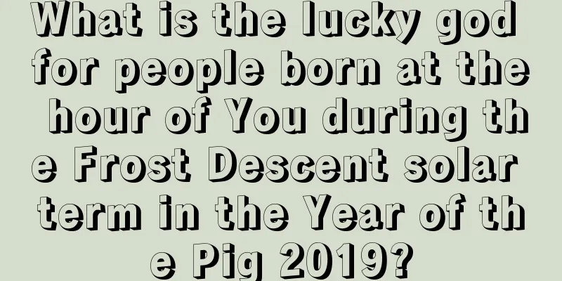 What is the lucky god for people born at the hour of You during the Frost Descent solar term in the Year of the Pig 2019?