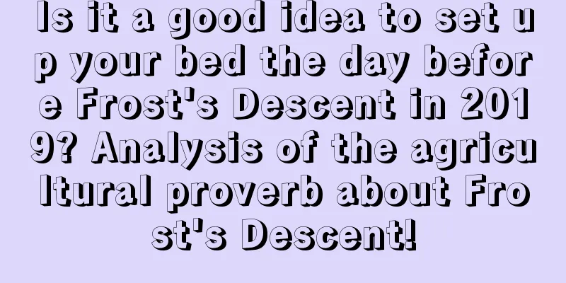Is it a good idea to set up your bed the day before Frost's Descent in 2019? Analysis of the agricultural proverb about Frost's Descent!