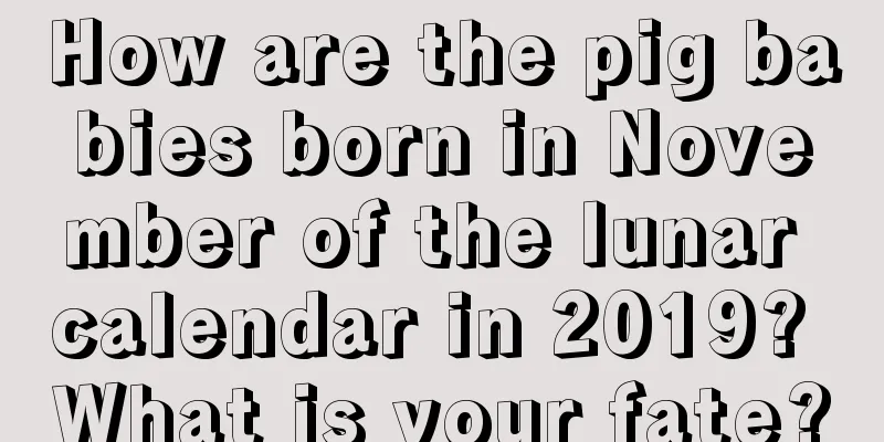 How are the pig babies born in November of the lunar calendar in 2019? What is your fate?