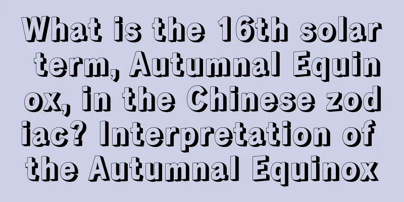 What is the 16th solar term, Autumnal Equinox, in the Chinese zodiac? Interpretation of the Autumnal Equinox