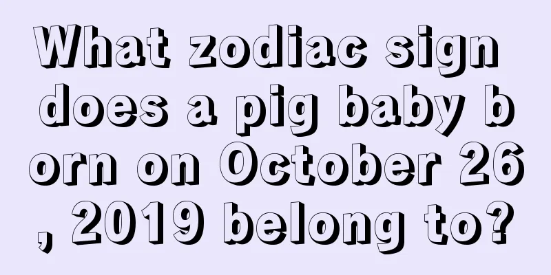 What zodiac sign does a pig baby born on October 26, 2019 belong to?