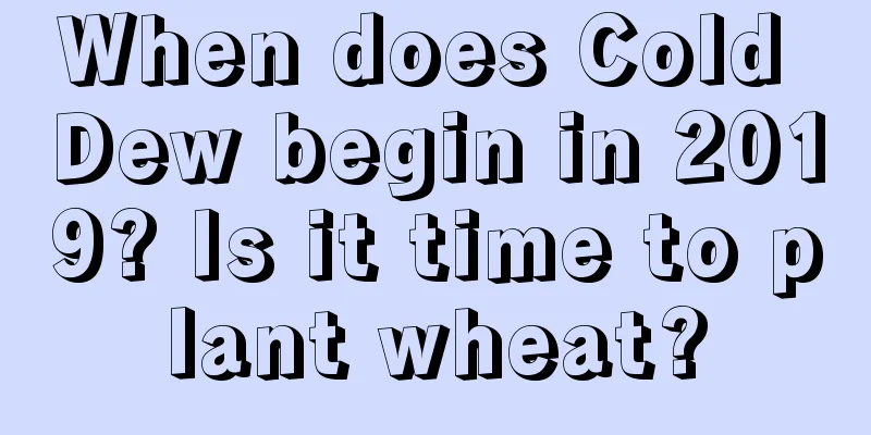 When does Cold Dew begin in 2019? Is it time to plant wheat?