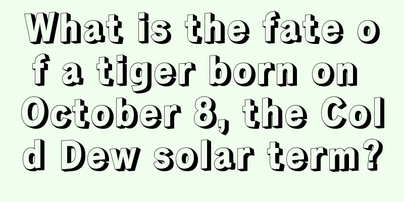 What is the fate of a tiger born on October 8, the Cold Dew solar term?
