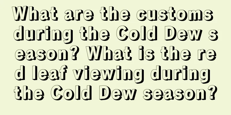 What are the customs during the Cold Dew season? What is the red leaf viewing during the Cold Dew season?
