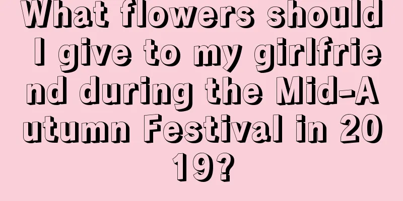 What flowers should I give to my girlfriend during the Mid-Autumn Festival in 2019?