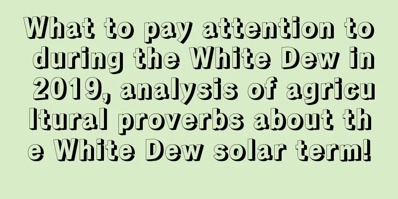 What to pay attention to during the White Dew in 2019, analysis of agricultural proverbs about the White Dew solar term!